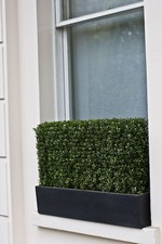 Artificial Boxwood hedge